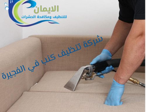 شركة تنظيف كنب الفجيرة |0561581557|تنظيف المجالس