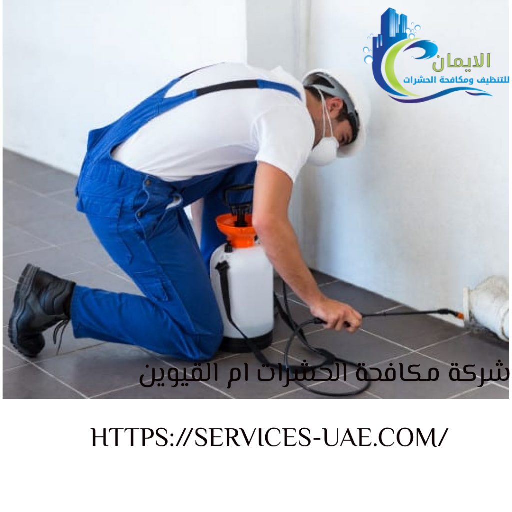 فني يرش مبيد حشري داخل منزل في إم القيوين ضمن خدمات مكافحة حشرات باستخدام أدوات آمنة وتقنيات فعالة.