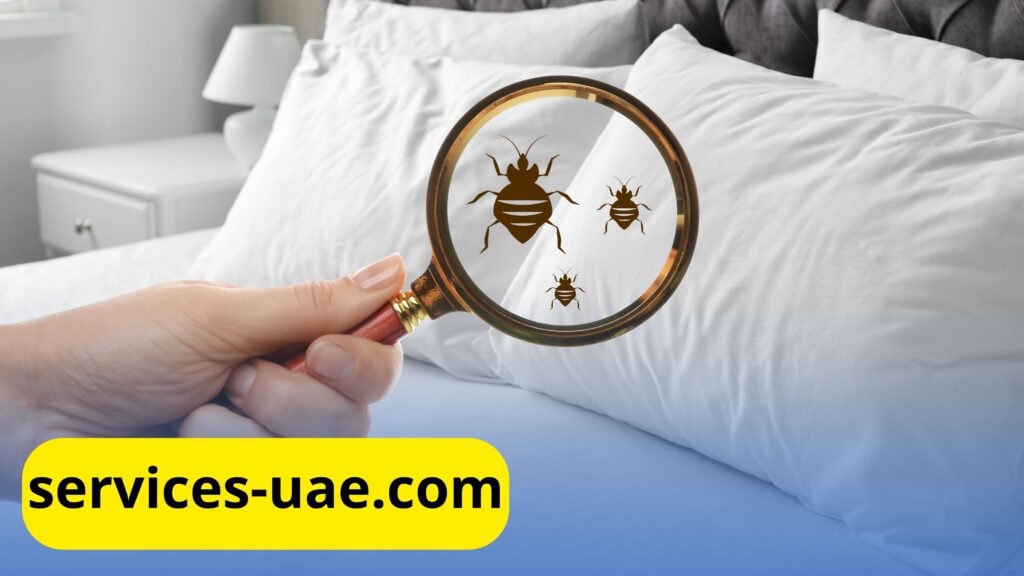 الرائحة التي يكرهها البق