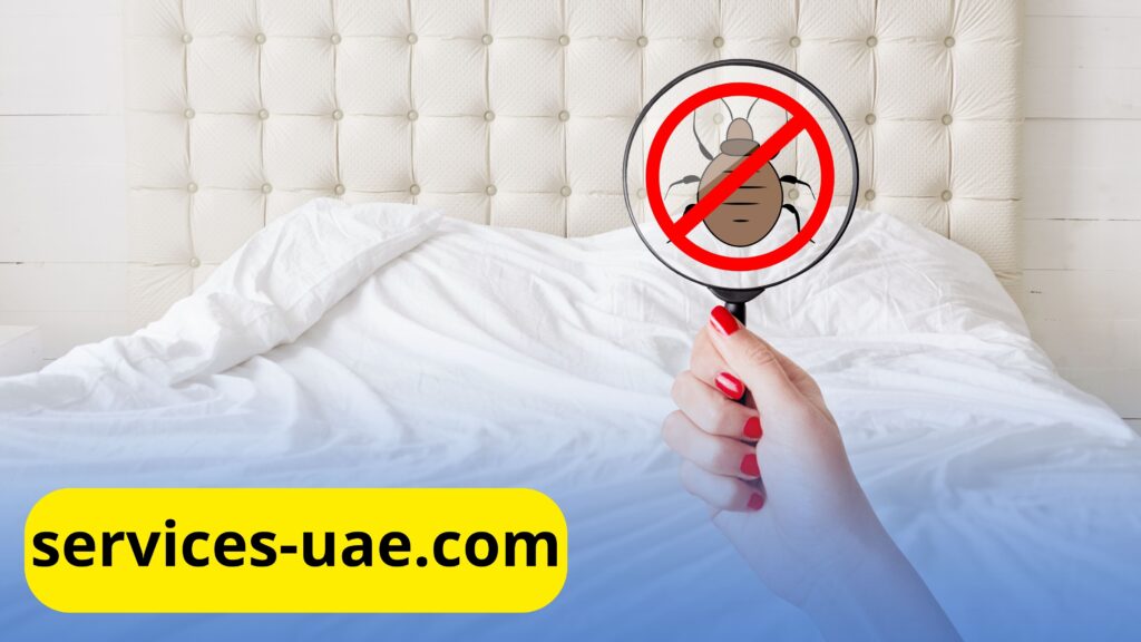 شركة مكافحة حشرات في عجمان