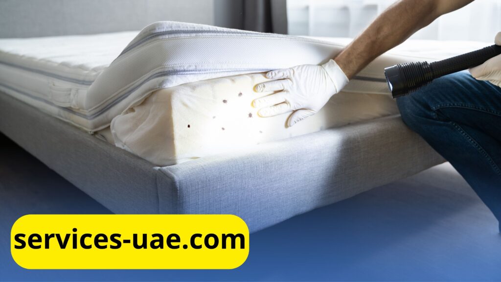 شركة مكافحة حشرات في دبي
