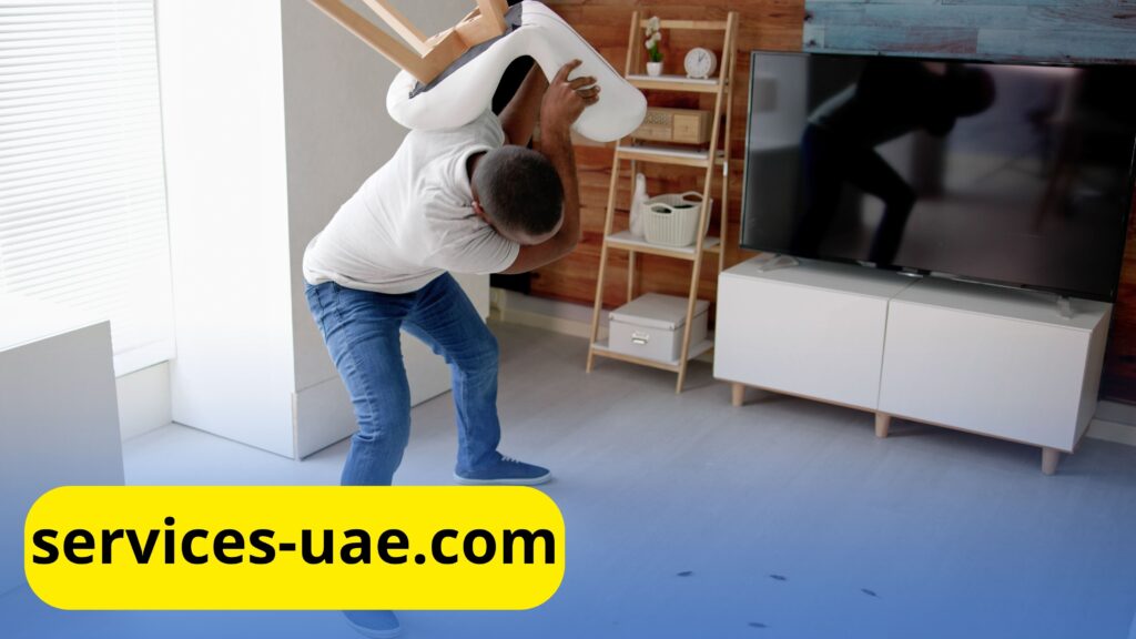شخص تهاجمة الحشرات في منزله قبل أن يتواصل مع شركة مكافحة الصراصير في الشارقة