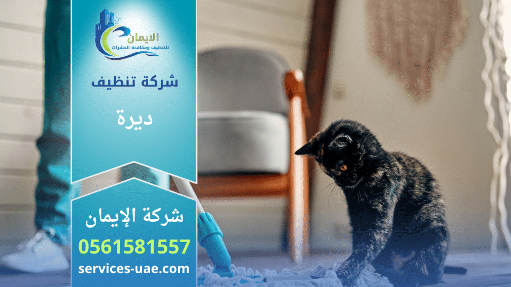 عامل من شركة تنظيف في ديرة ينظف سجاد في منزل