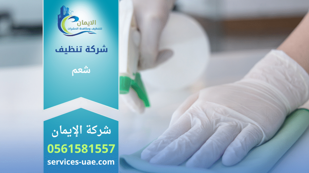 صورة لفريق شركة تنظيف في شعم أثناء تقديم خدمات تنظيف متكاملة داخل منزل حديث.