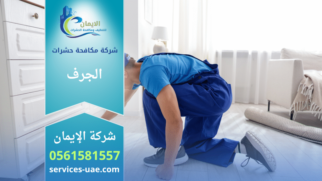 فريق شركة مكافحة حشرات في الجرف يستخدم أجهزة حديثة لرش المبيدات داخل منزل لضمان بيئة نظيفة وآمنة وخالية من الحشرات.