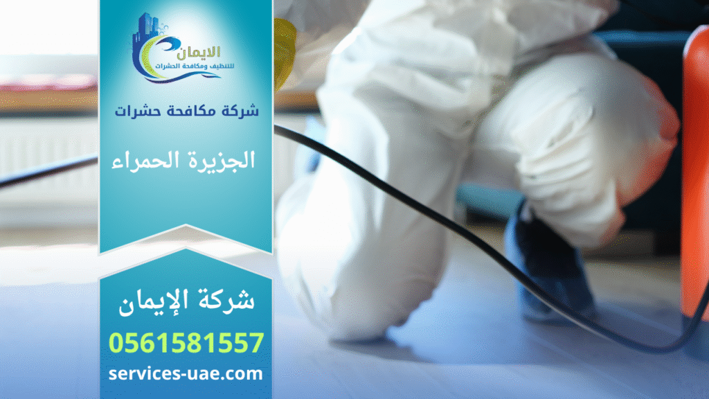 فريق شركة مكافحة حشرات في الجزيرة الحمراء يستخدم معدات حديثة لرش المبيدات داخل منزل بشكل آمن وفعال، مع التركيز على حماية العائلات من انتشار الحشرات.
