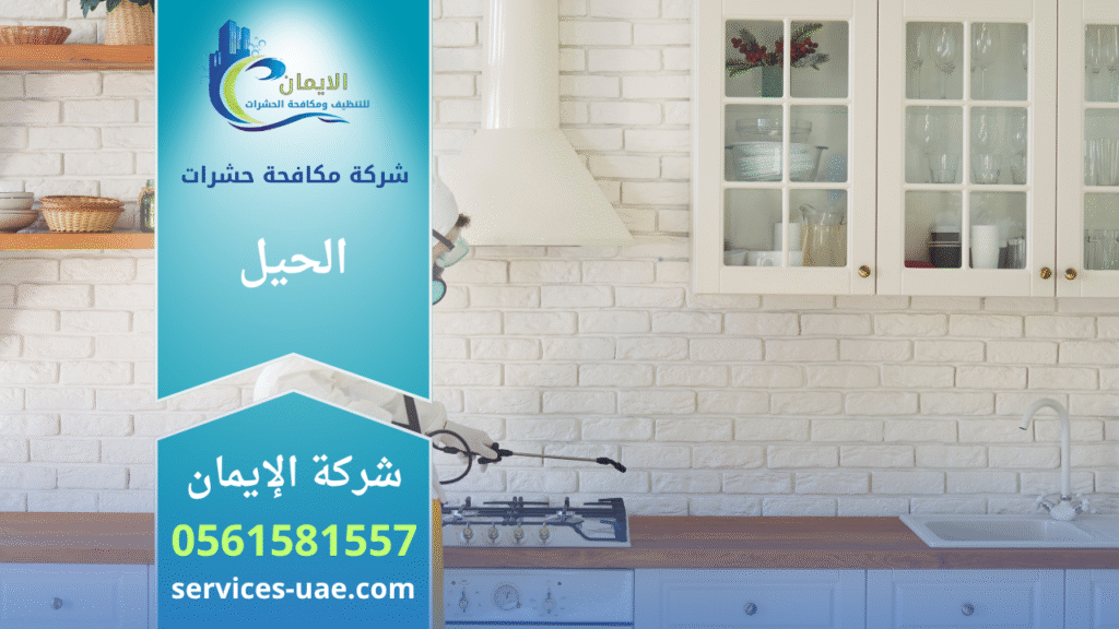 فريق شركة مكافحة حشرات في الحيل يستخدم معدات حديثة لرش المبيدات داخل منزل بهدف القضاء الكامل على الحشرات بسرعة وأمان.