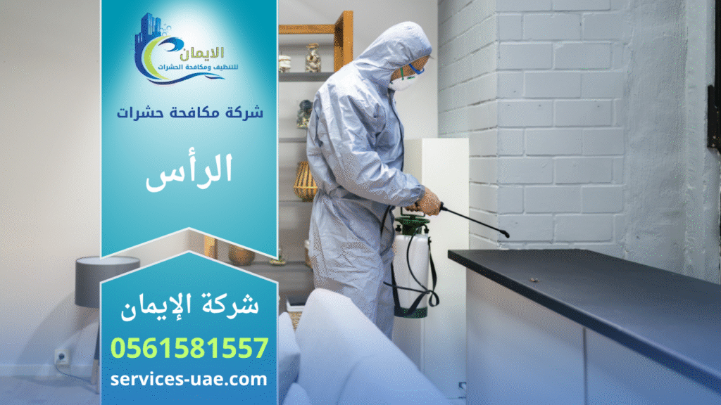 فريق محترف من شركة مكافحة حشرات في الرأس يقوم برش المبيدات داخل منزل باستخدام أجهزة حديثة لضمان القضاء التام على الحشرات بسرعة وأمان.