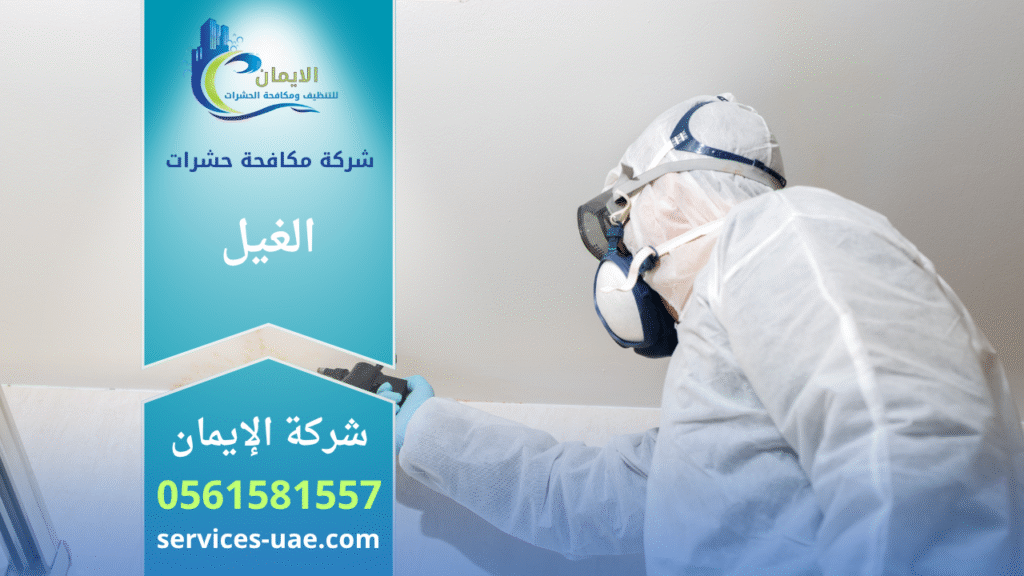 فريق محترف من شركة مكافحة حشرات في الغيل يستخدم أجهزة حديثة ومواد آمنة لرش المبيدات داخل منزل بهدف القضاء الكامل على الحشرات بسرعة وكفاءة عالية.