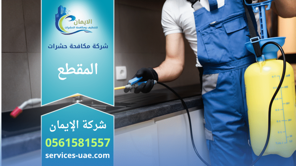 فريق محترف من شركة مكافحة حشرات في المقطع يقوم برش المبيدات داخل منزل باستخدام أجهزة حديثة لضمان القضاء التام على الحشرات بسرعة وأمان.