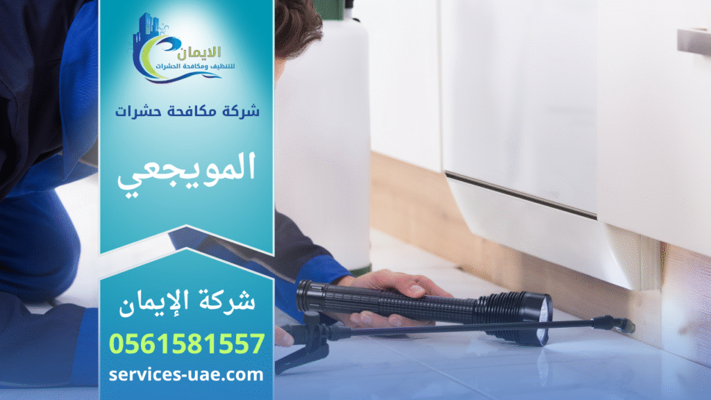 فريق شركة مكافحة حشرات في المويجعي يقوم برش المبيدات داخل منزل باستخدام أجهزة حديثة لضمان بيئة نظيفة وآمنة وخالية من الحشرات.