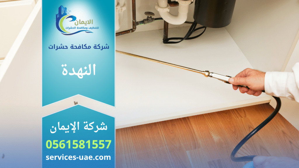 فريق شركة مكافحة حشرات في النهدة يستخدم أجهزة متطورة لرش المبيدات داخل منزل بهدف القضاء على الحشرات وضمان بيئة آمنة ونظيفة