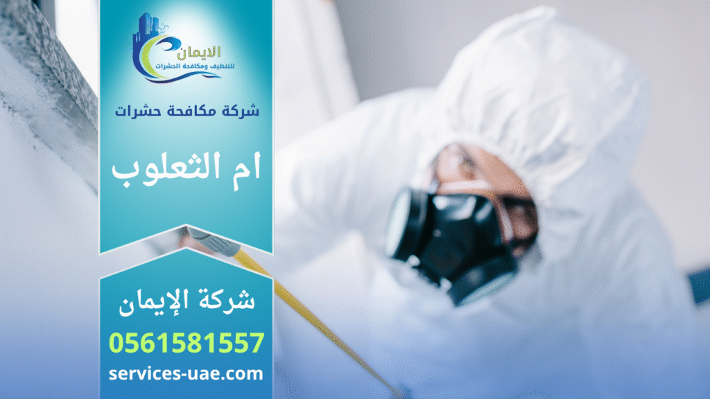 فريق محترف من شركة مكافحة حشرات في أم الثعلوب يقوم برش المبيدات داخل منزل باستخدام أجهزة حديثة لضمان القضاء الكامل على الحشرات بسرعة وأمان.