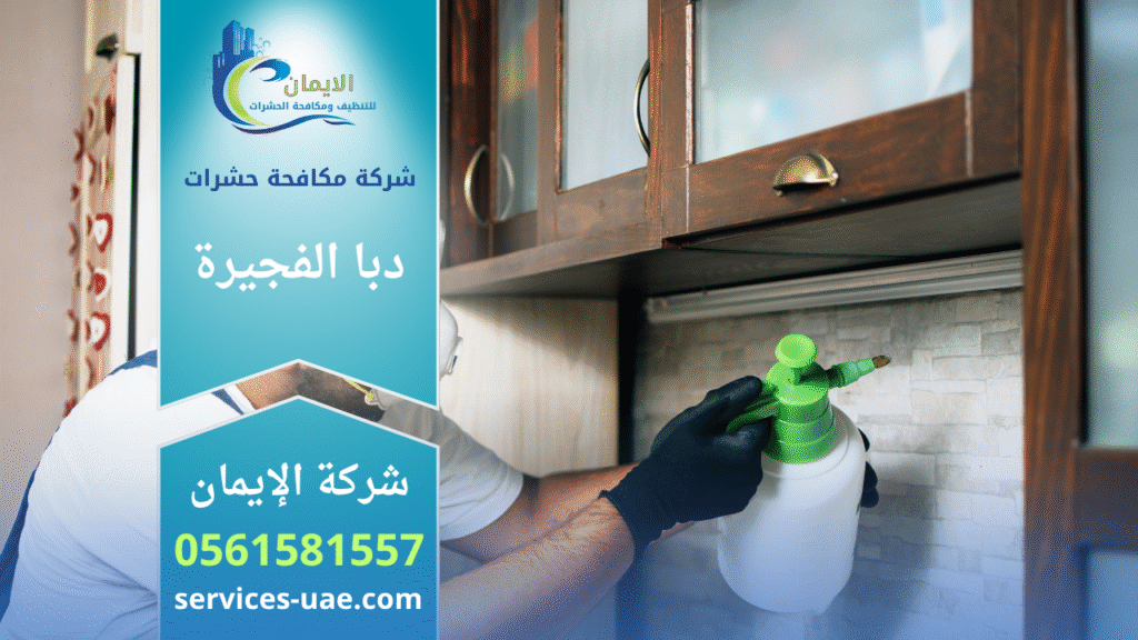 فريق شركة مكافحة حشرات في دبا الفجيرة يستخدم أجهزة متطورة لرش المبيدات داخل منزل للقضاء على الحشرات بسرعة وأمان.