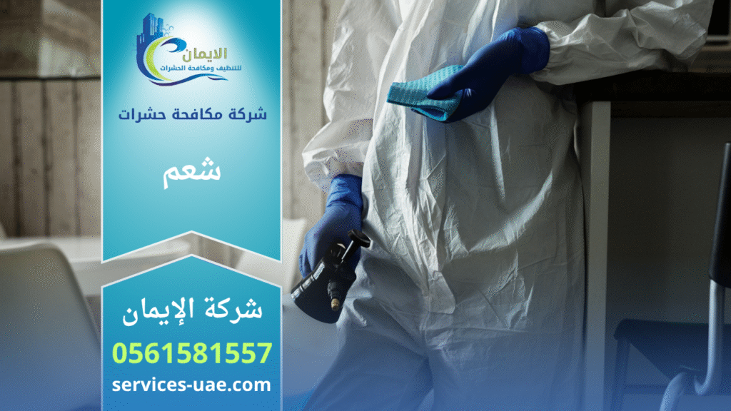 فريق محترف من شركة مكافحة حشرات في شعم يقوم برش المبيدات داخل منزل باستخدام أجهزة حديثة ومواد آمنة لضمان القضاء الكامل على الحشرات بسرعة وكفاءة عالية.