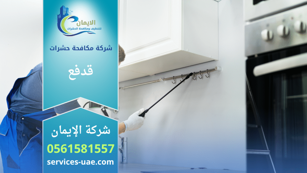 فريق شركة مكافحة حشرات في قدفع يستخدم أجهزة حديثة لرش المبيدات داخل منزل بهدف القضاء التام على الحشرات بسرعة وكفاءة عالية.