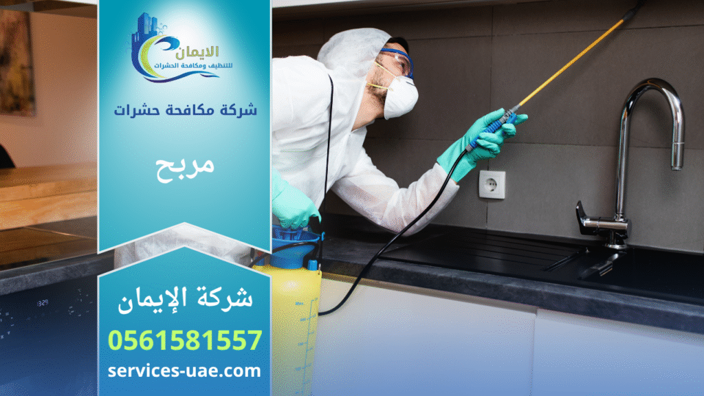 فريق شركة مكافحة حشرات في مربح يستخدم معدات متطورة لرش المبيدات داخل منزل بهدف القضاء على الحشرات بسرعة وكفاءة عالية.