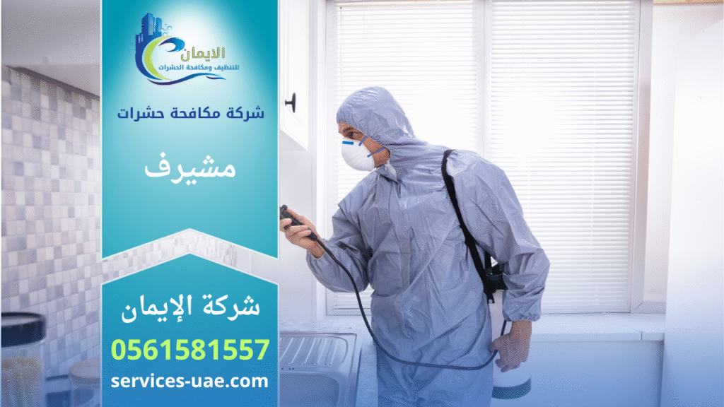 فريق شركة مكافحة حشرات في مشيرف يستخدم معدات متطورة لرش المبيدات داخل منزل بهدف القضاء على الحشرات بسرعة وكفاءة عالية.