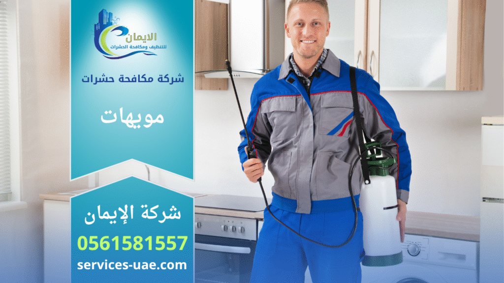 فريق شركة مكافحة حشرات في مويهات يستخدم أجهزة متطورة لرش المبيدات داخل منزل بهدف القضاء على الحشرات بسرعة وأمان.