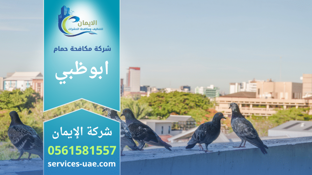 شركة مكافحة الحمام في ابوظبي تقوم بتركيب شبك وإبر لمنع وقوف الحمام على أسطح المباني.