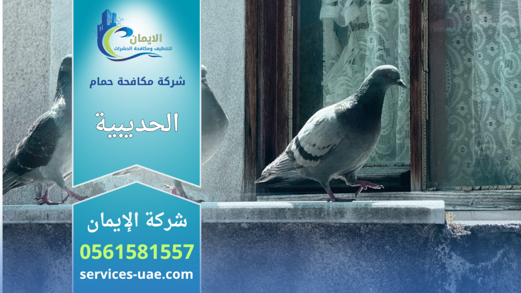 شركة مكافحة الحمام في الحديبية تقوم بتركيب شبكات وأسلاك طاردة للحمام لحماية الأسطح والمباني من الأوساخ وأعشاش الطيور.