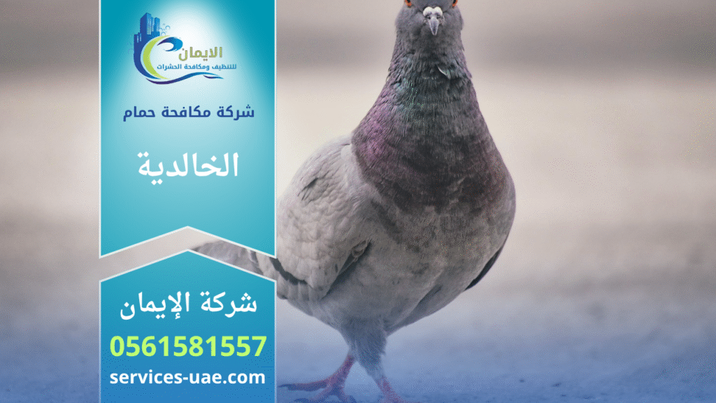 فريق من شركة مكافحة الحمام في الخالدية يركب شبك وأسلاك طاردة للحمام على الأسطح والنوافذ بطريقة آمنة وفعالة.