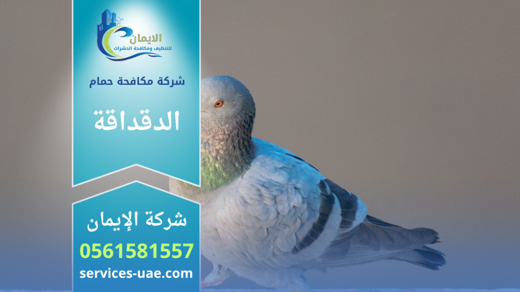 عمال من شركة مكافحة الحمام في الدقداقة يركبون شبك طارد للحمام على سطح مبنى للحد من تواجد الطيور وحماية المكان من الأوساخ.