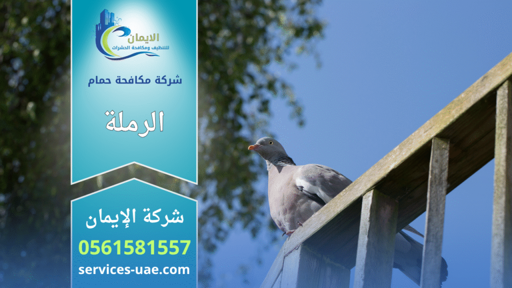 شركة مكافحة الحمام في الرملة تقوم بتركيب شبكات حماية وأسلاك شوكية على أسطح المباني لمنع تجمع الحمام وحماية الممتلكات.