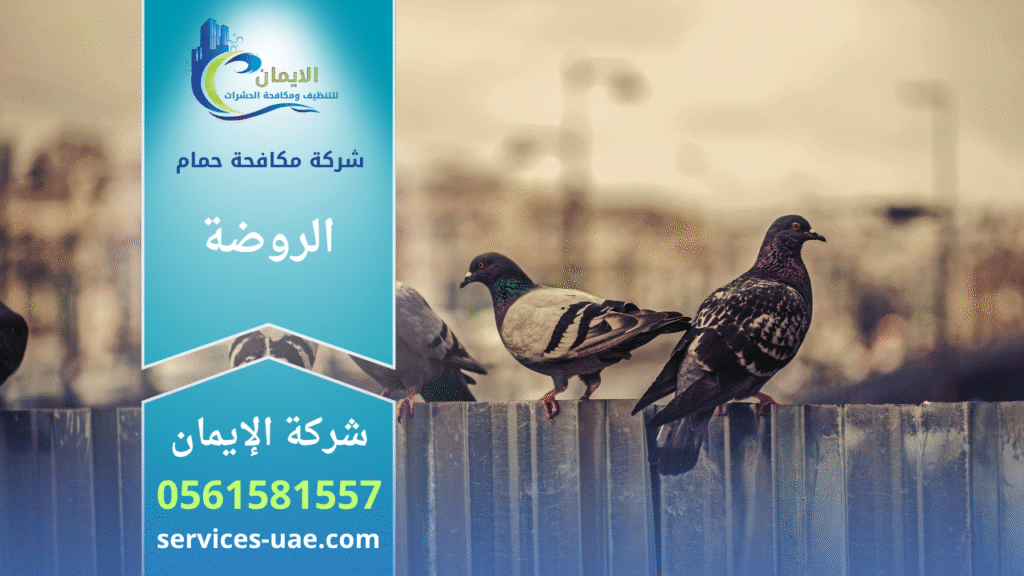فريق من شركة مكافحة الحمام في الروضة يركب شبك وأسلاك طاردة للحمام على واجهات وأسقف المباني بطريقة آمنة وفعالة.