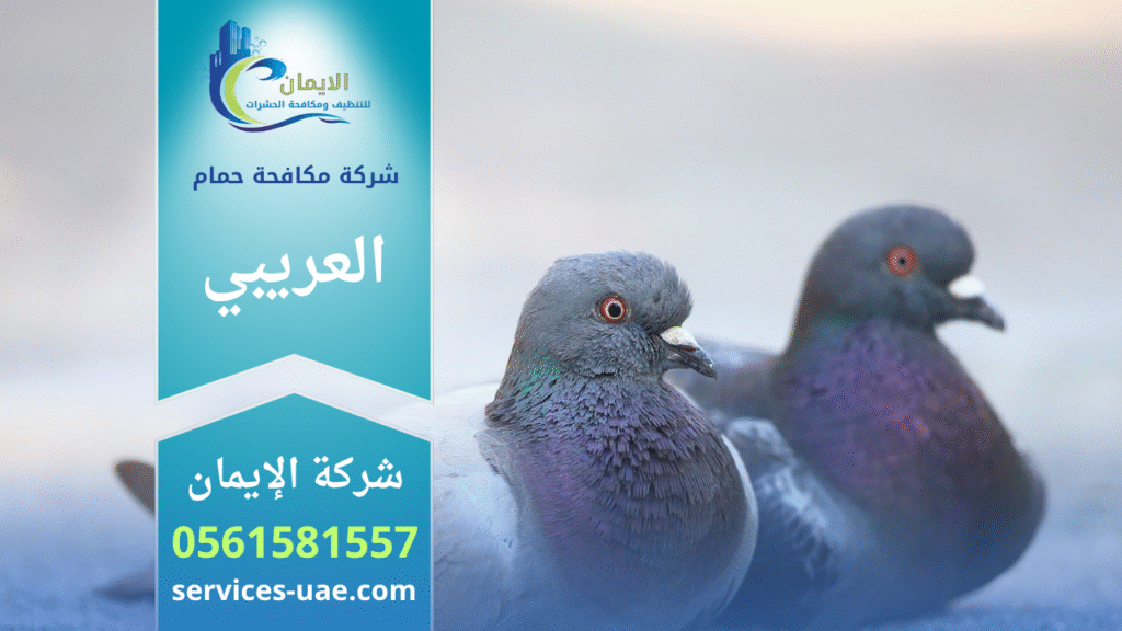 فريق من شركة مكافحة الحمام في العريبي يقوم بتركيب شبك وأسلاك طاردة للحمام على واجهة أحد المباني لمنع تجمع الطيور.