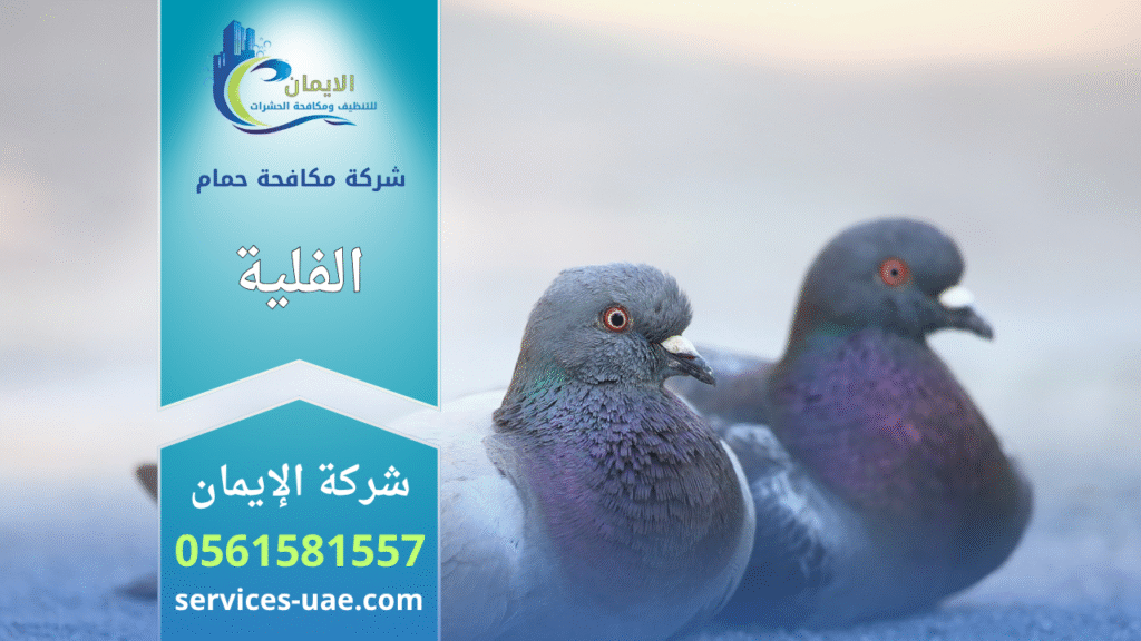 شركة مكافحة الحمام في الفلية تقوم بتركيب شبكات وأسلاك طاردة للحمام على أسطح المباني لحمايتها من الأوساخ وأعشاش الطيور.