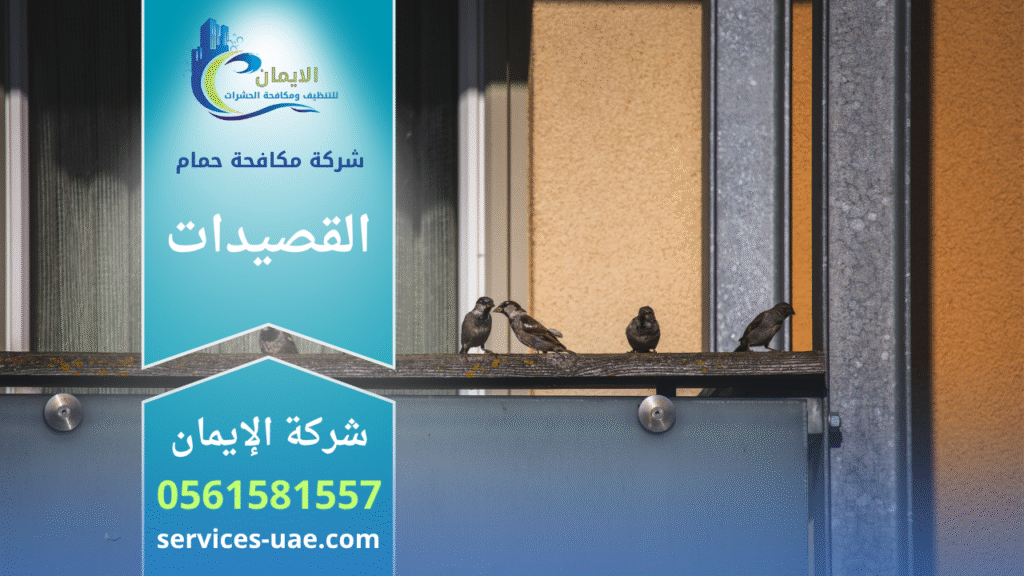 فريق من شركة مكافحة الحمام في القصيدات يركب شبك طارد للحمام على أسطح المباني لحماية المكان من تجمع الطيور.