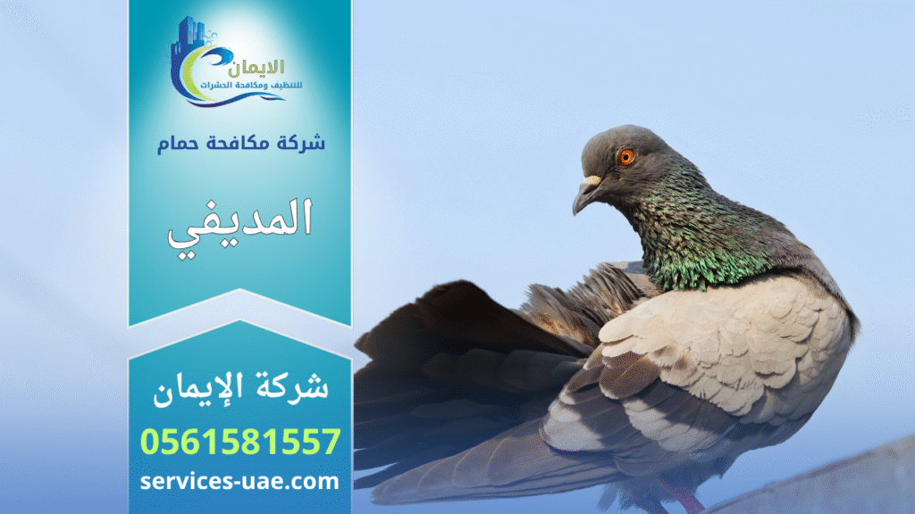 شركة مكافحة الحمام في المديفي تقوم بتركيب شبكات وأسلاك طاردة للحمام لحماية الأسطح والمباني من أضرار الطيور.