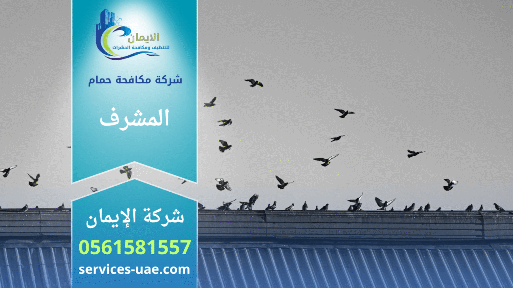 فريق من شركة مكافحة الحمام في المشرف يركب شبك وأسلاك طاردة للحمام على أسطح ونوافذ المباني بطريقة آمنة وفعالة.