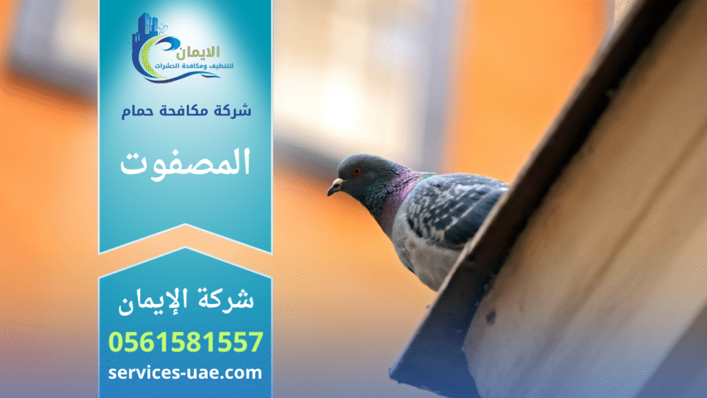 عمال من شركة مكافحة الحمام في المصفوت يقومون بتركيب شبك وأسلاك طاردة للحمام على سطح مبنى سكني لمنع تجمع الطيور.