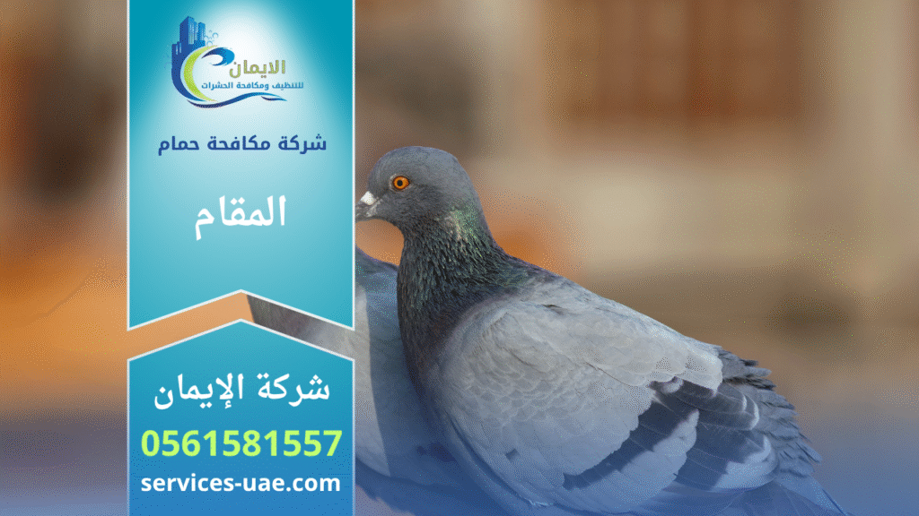 فريق من شركة مكافحة الحمام في المقام يركب شبك وأسلاك طاردة للحمام على الأسطح والنوافذ بطريقة آمنة وفعالة.