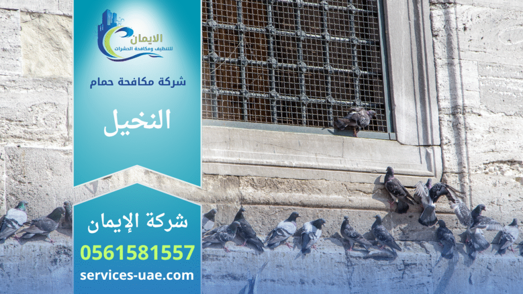 فريق من شركة مكافحة الحمام في النخيل يقوم بتركيب شبك وأسلاك طاردة للحمام على سطح أحد المباني للحد من تجمع الطيور.