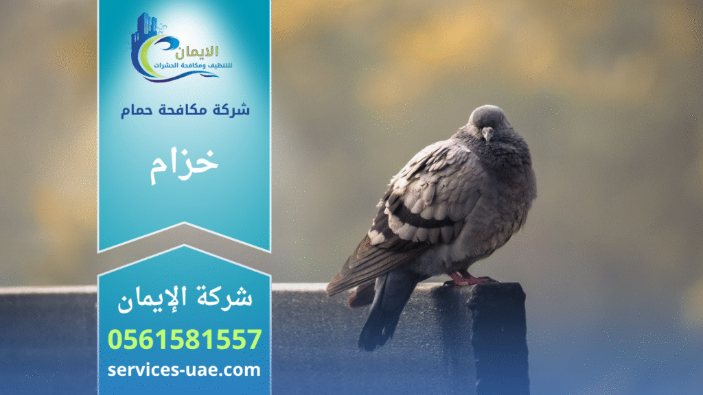 فريق من شركة مكافحة الحمام في خزام يقوم بتركيب شبك طارد للحمام على سطح مبنى لمنع تجمع الطيور وحماية المكان من الأوساخ.