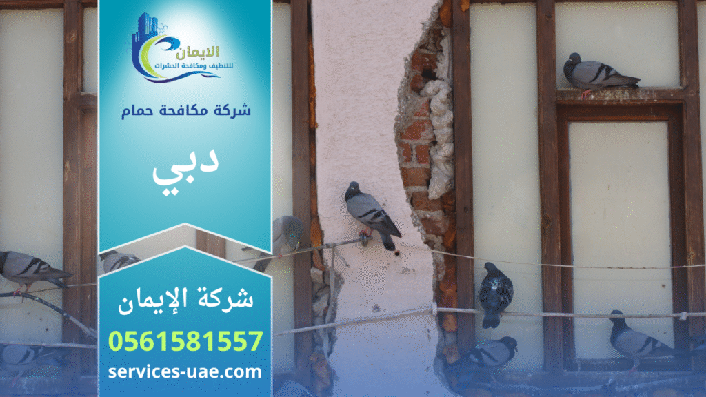 شركة مكافحة الحمام في دبي تستخدم أدوات حديثة لتركيب شبك طارد للحمام على واجهة مبنى لحمايته من فضلات الطيور.
