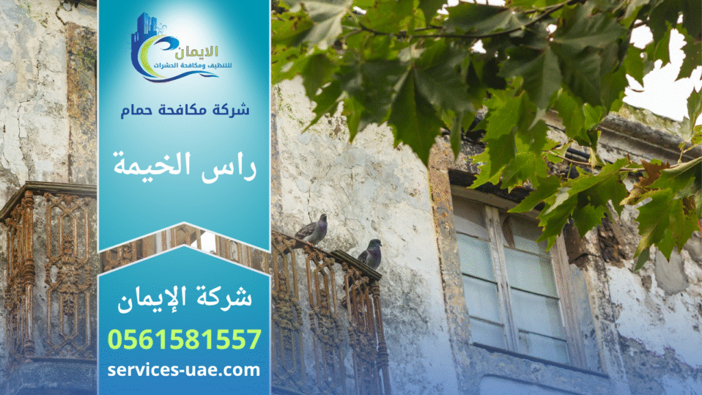 شركة مكافحة الحمام في راس الخيمة تقوم بتركيب شبك وإبر طاردة للحمام على أسطح المباني لمنع تجمع الطيور.