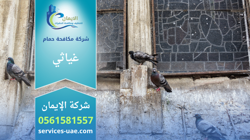 فريق من شركة مكافحة الحمام في غياثي يركب شبك وأسلاك طاردة للحمام على أسطح المباني والمنازل بطريقة آمنة وفعالة.