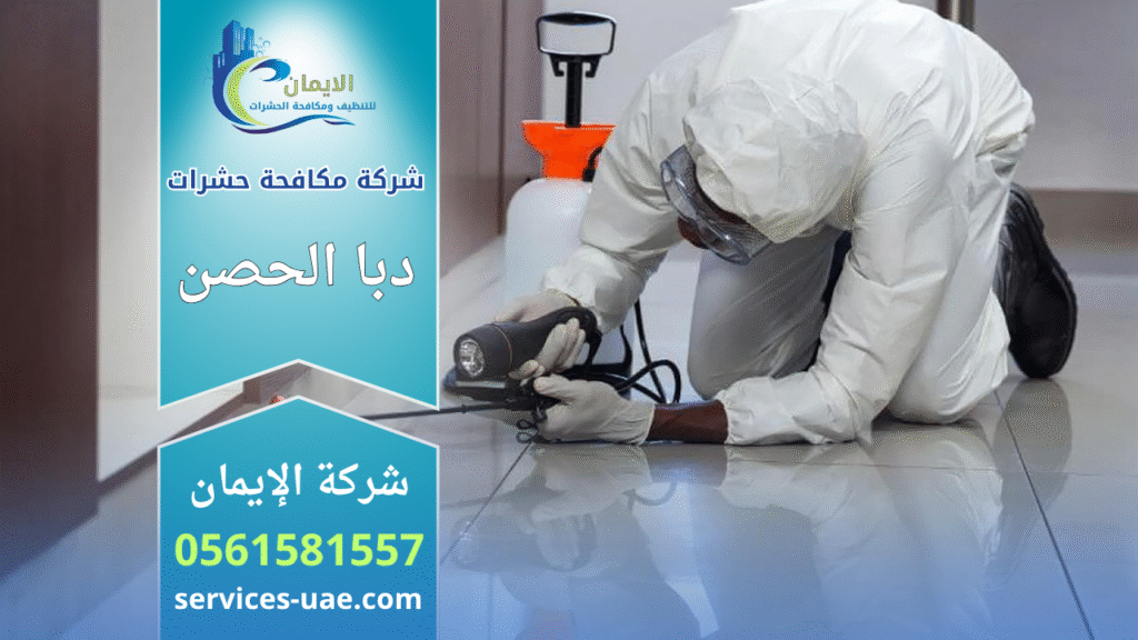 فريق متخصص يستخدم معدات حديثة لمكافحة الحشرات في دبا الحصن لضمان بيئة نظيفة وآمنة.