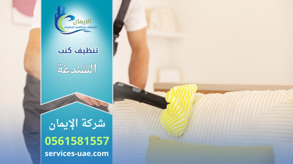 فني تنظيف يقوم بتنظيف كنب قماشي فاتح باستخدام جهاز بخار وقطعة مايكروفايبر ضمن خدمات شركة تنظيف كنب في الشندغة.