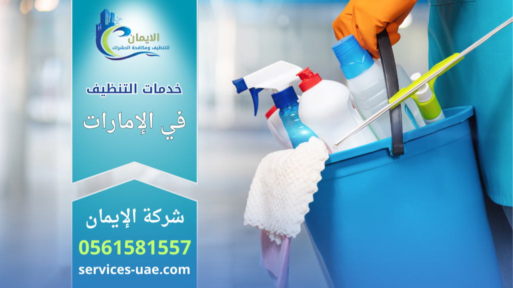 معدات وأدوات مستخدمة في خدمات التنظيف تشمل عبوات منظفات وقطع قماش داخل دلو.