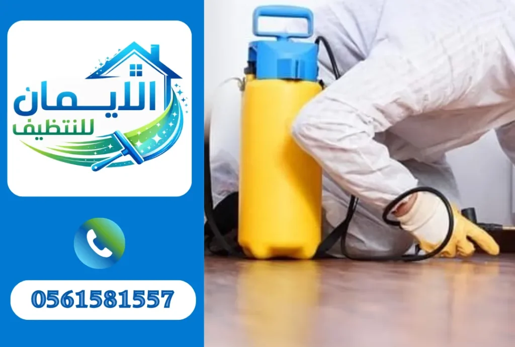 مكافحة حشرات في الشارقة