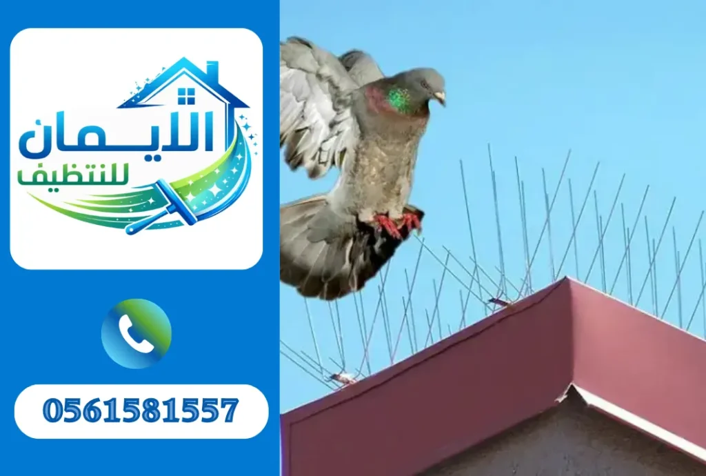 تركيب طارد حمام في الشارقة