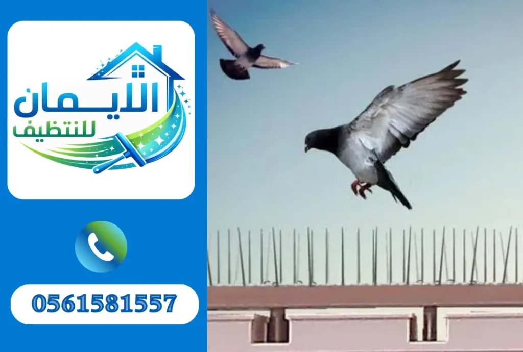 تركيب طارد حمام في الشارقة