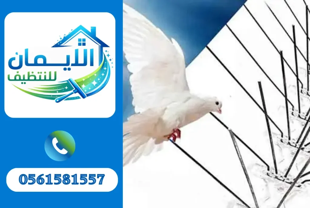 تركيب طارد حمام في الشارقة