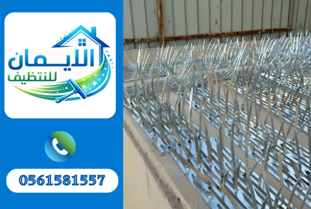 تركيب طارد حمام في الشارقة