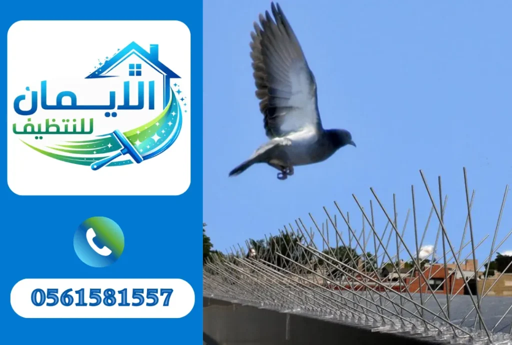 تركيب طارد حمام في الشارقة